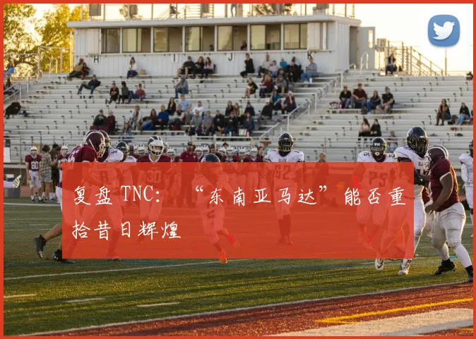 复盘 TNC： “东南亚马达”能否重拾昔日辉煌
