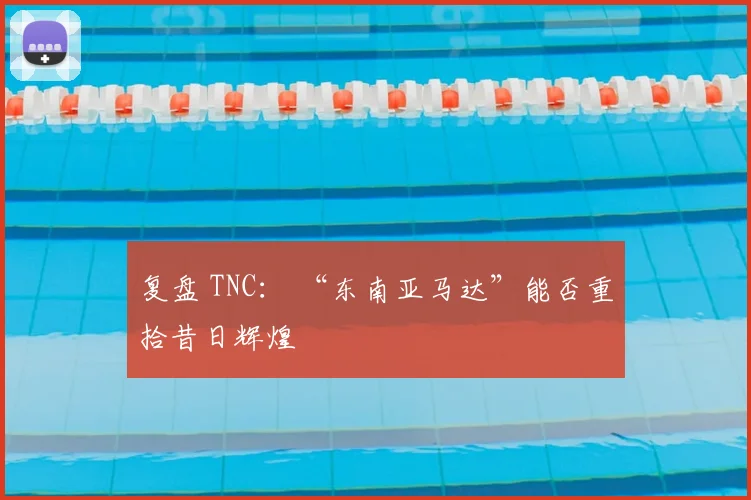 复盘 TNC： “东南亚马达”能否重拾昔日辉煌
